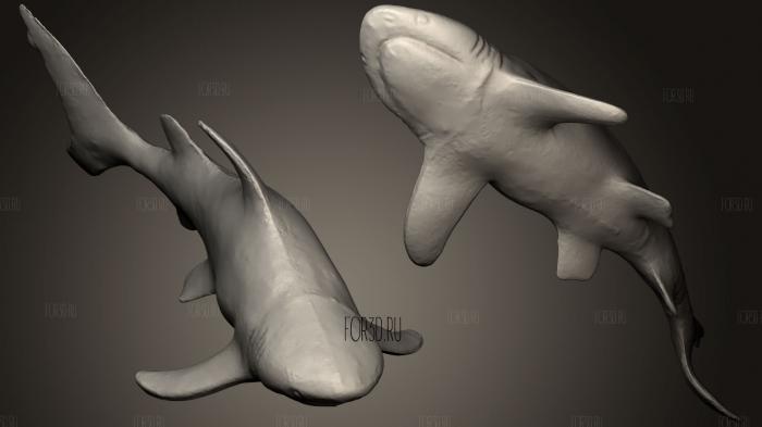 Игрушка с черным кончиком акулы 3d stl модель для ЧПУ